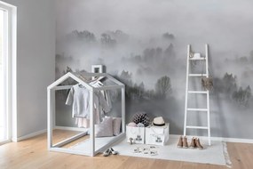 Fototapet, Morning Fog, Rebel Walls