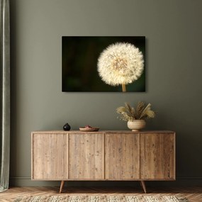 Tablou cu păpădie gri (90x60 cm)