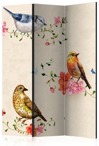 Paravan - Bird Song [Room Dividers]