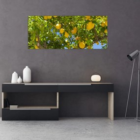 Tablou - Lămâiță (120x50 cm)