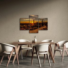 Tablou - Sfărșit de zi în deșertul Arizona (90x60 cm)