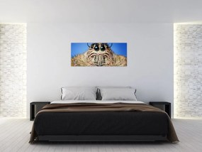 Tablou cu detalii a unui pâianjen (120x50 cm)