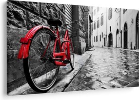 Tablou - Bicicleta roșie pe o stradă pavată (90x60 cm)