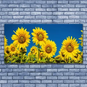 Tablou pe panza canvas Floarea soarelui Floral Galben Verde