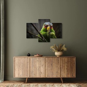Tablou cu papagal (90x60 cm)