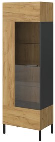 Vitrină Shanna (Stejar craft auriu + antracit). 1053226