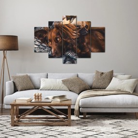 Tablou cu câini dormind (150x105 cm)
