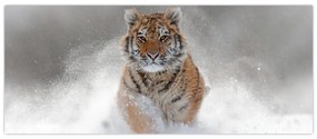 Tablou cutigru fugind prin zăpadă (120x50 cm)