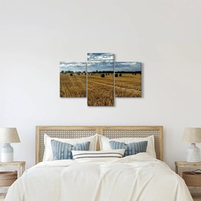 Tablou cu câmp recoltat (90x60 cm)