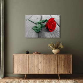 Tablou - Trandafir roșu cu tulpină verde (90x60 cm)