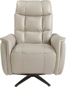 Fotoliu design LUX cu functia relax Cowhide Grey leather