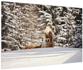 Tablou - Cal în peisaj de iarnă (90x60 cm)