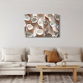 Tablou - Nuci de cocos (90x60 cm)