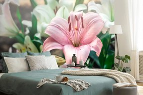 Fototapet crin roz în floare