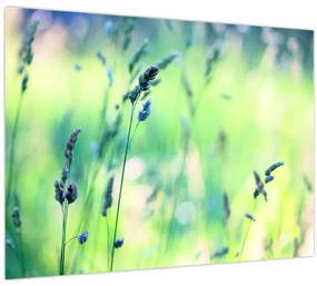 Tablou - Detaliu pajiște (70x50 cm)
