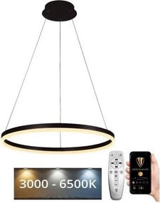 Brilagi - Lustră LED reglabilă suspendată pe cablu CIRCLE LED/42W/230V 3000-6500K + telecomandă