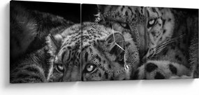 Tablou - Gheparzi care se odihnesc (cu ceas) (90x30 cm)