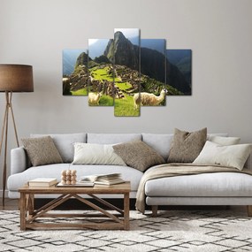 Tablou - Lame in Machu Picchu (150x105 cm)