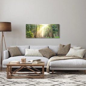 Tablou - Poteci în pădure (120x50 cm)