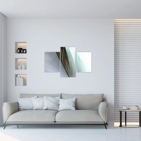 Tablou - Pene, macro (90x60 cm)