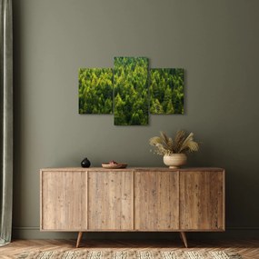 Tablou - Pădure deasă (90x60 cm)