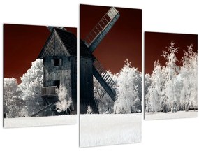 Tablou cu moară (90x60 cm)