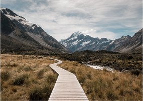 Tablou pe sticlă - Poteca în valea muntelui Mt. Cook (70x50 cm)