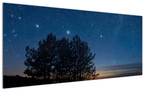 Tablou cu copaci noapte (120x50 cm)