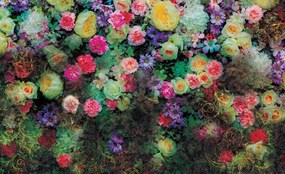 Fototapet - Flori colorate (254x184 cm)