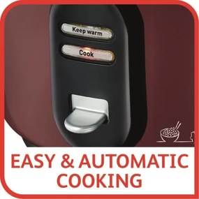 Aparat de gătit orez CLASSIC 600W/230V 5 l negru Tefal