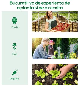 Outsunny Mini sera gradina pentru plante, sera Mica pentru Gradina pe 2 Nivele, pentru legume, fructe din PE, Verde | Aosom Romania