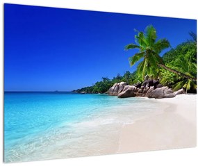 Tablou cu plaja pe insula Praslin (90x60 cm)