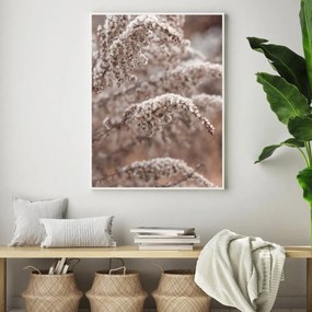 Poster - Florile plantei (A4)