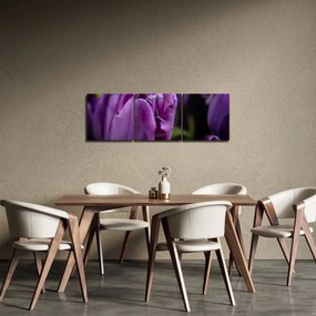 Tablou cu flori de lalele (cu ceas) (90x30 cm)