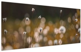 Tablou - Pajiște cu iarbă de cozonac N⁰2 (120x50 cm)