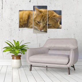 Tabloul pisicii (90x60 cm)