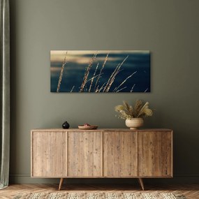 Tablou cu ierburi (120x50 cm)