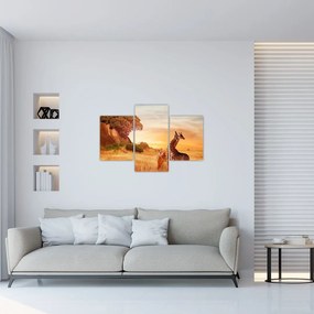 Tablou Girafe în Africa (90x60 cm)