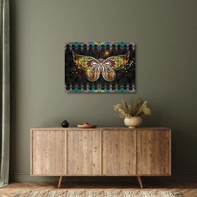 Tablou pe sticlă - Fluture magic (70x50 cm)