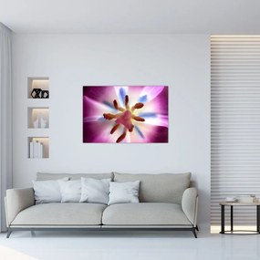 Tablou - Laleaua detailat (90x60 cm)