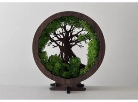 Li-Go 23604/DUB2 - Decorațiune de masă LED reglabilă, 12W/230V, 20x22 cm, finisaj stejar