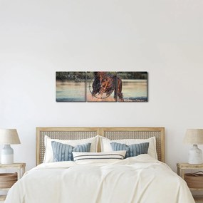 Tablou - Cal care aleargă (cu ceas) (90x30 cm)