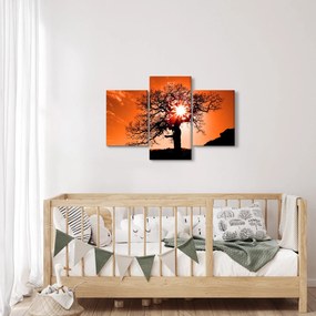 Tablou - Fag la apus de soare (90x60 cm)
