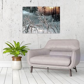 Tablou pe sticlă - Pajiște înghețată (70x50 cm)