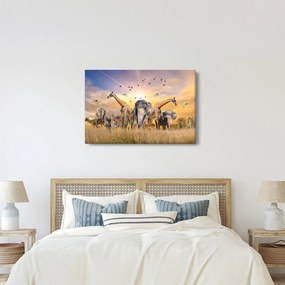 Tablou - Animae din Africa (90x60 cm)