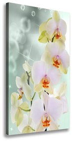 Tablou canvas Orhidee
