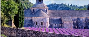 Tablou - Câmp de lavandă (120x50 cm)