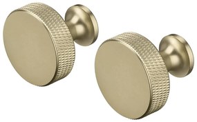 Cârlige alămii 2 buc. de montat pe perete din metal Rof – Blomus