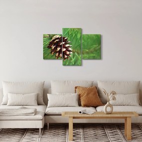 Tablou cu con (90x60 cm)