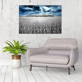 Tablou cu câmp (90x60 cm)